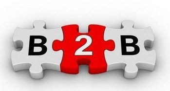 B2B電子商務(wù)網(wǎng)站圖冊 提升供應(yīng)鏈效率與可視化營銷